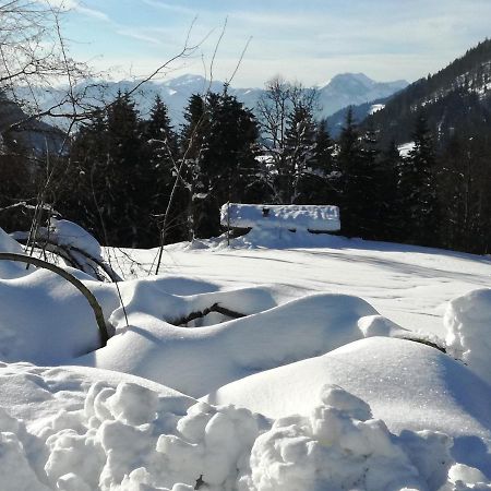 Karrerhof Apartment Walchsee Exterior foto