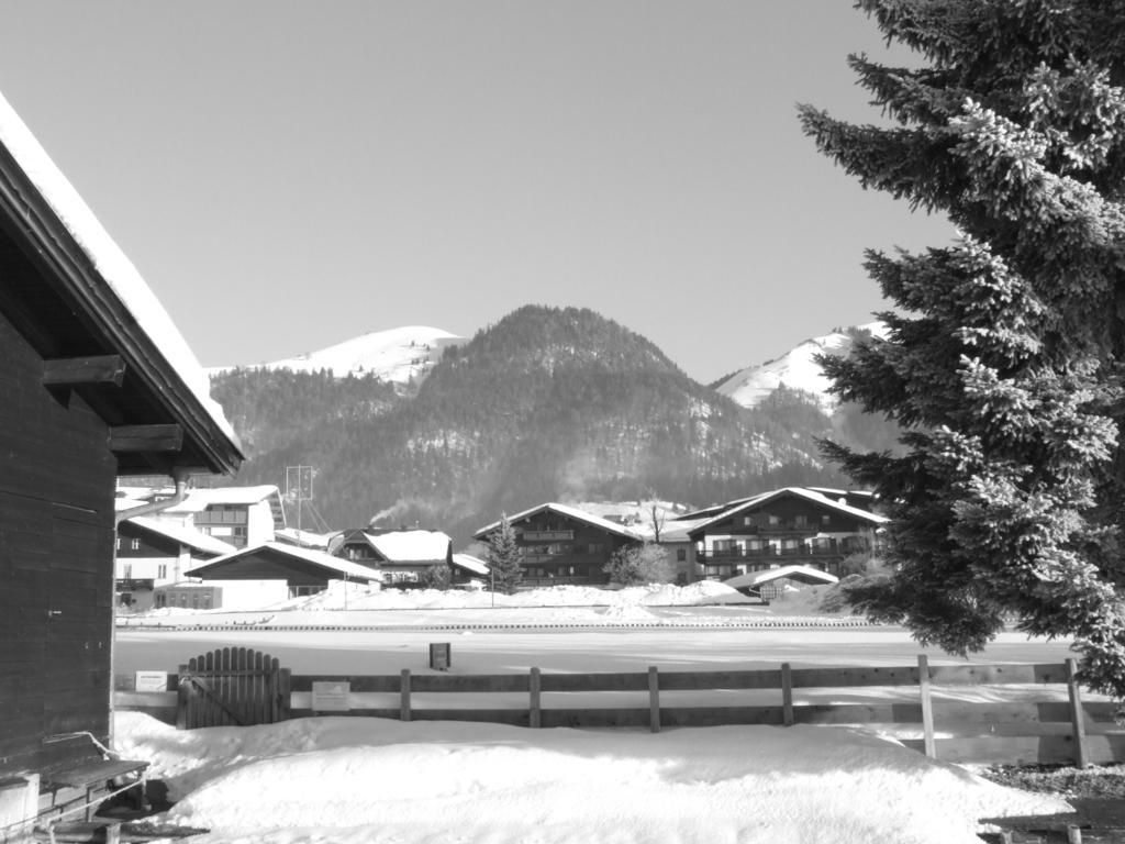 Karrerhof Apartment Walchsee Exterior foto