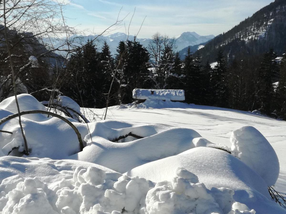 Karrerhof Apartment Walchsee Exterior foto